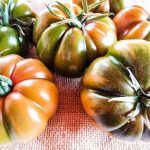 i pomodori coltivati nel rispetto della natura